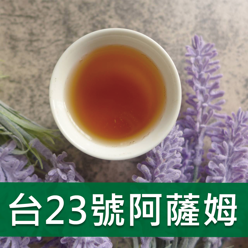 台23號阿薩姆-823