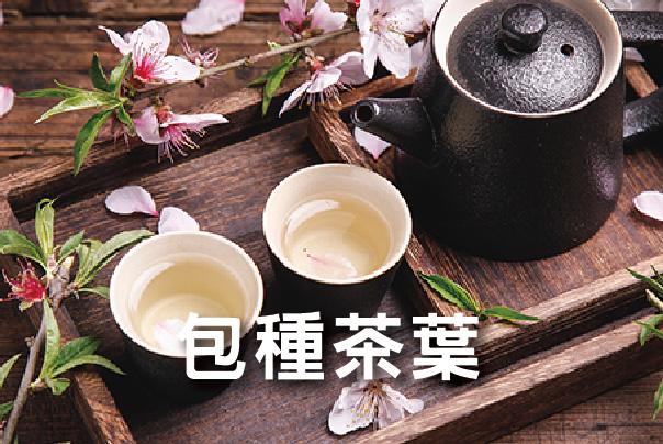 包種茶